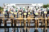 Mangrove Penting untuk Cegah Abrasi, Merawat Pesisir Jakarta Butuh Kolaborasi