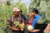 Pemanfaatan Dana Keistimewaan Yogyakarta Berhasil Berdayakan Masyarakat