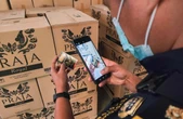 Bea Cukai Tegaskan Perannya dalam Pelayanan dan Pengawasan BKC di Yogyakarta