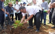 Tanam 1.000 Pohon, Menteri Jumhur Tegaskan Pentingnya Perlindungan Lingkungan