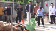 Memaknai Iduladha 1447 H, BULOG Teguhkan Semangat Kurban untuk Ketahanan Pangan Umat