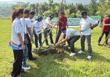 Sentul City Ajak Masyarakat Tanam 3.850 Pohon Harapan untuk Lingkungan Lestari
