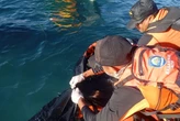 Pemuda Terseret Ombak di Dompu Ditemukan Meninggal Dunia