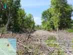 Saat Seragam Cokelat Menjaga Mangrove: Etika Tanggung Jawab Hadirkan Keamanan Ekologis Lewat Green Policing
