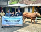 Grup MIND ID Menyalurkan 1.735 Hewan Kurban dari Sumatra hingga Papua