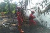 Hadapi Kemarau, 11 Daerah di Riau Tetapkan Status Siaga Darurat Karhutla
