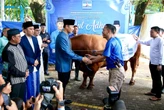 Ikuti Instruksi AHY, Demokrat Jakarta Berikan Ribuan Paket Daging Kurban untuk Warga