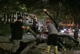 5 Pengendara Tertimpa Pohon Tumbang di Jatinangor, Satu Orang Kritis