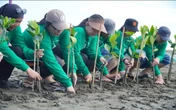 Dukung Kelestarian Lingkungan Pesisir, Kapal Api Group Tanam 2.500 Mangrove di Semarang