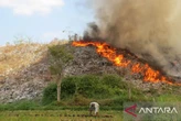 TPA Pakusari Jember Terbakar, Api Nyaris Merembet ke Permukiman Warga