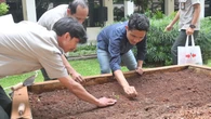 Ratusan Kelompok Warga Jakarta Menanam Pangan Bersama, Ewindo Sediakan Benih Unggul