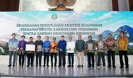 Pemerintah Perkuat Perdagangan Karbon Kehutanan untuk Tingkatkan Kepercayaan Pasar