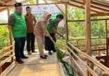 Balai Ternak Wonogiri Berdayakan Puluhan Keluarga Peternak Mustahik