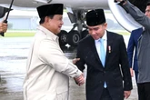 Gibran Sebaiknya Berkantor di Papua Ketimbang IKN