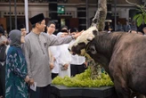 Menkeu Purbaya Berkurban Sapi Berbobot 846 Kg di Momen Iduladha
