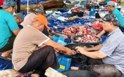 Tebar Keberkahan IdulAdha, BSN Salurkan 245 Hewan Kurban