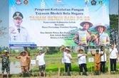 Lebak Genjot Produksi Beras, Bupati Hasbi Turun Langsung Tanam Padi