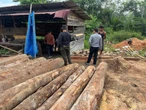 Polda Riau Gerebek Pengolahan Kayu Hasil Perambahan Hutan Lindung di Kampar