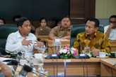 Perdagangan Karbon Diyakini Bisa Menggeser Swasta dari Menebang ke Menanam