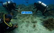 Lewat Pelestarian Laut, PNM Hadirkan Masa Depan Untuk Anak-Anak