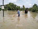 4 Kabupaten di Jateng Terendam Banjir, Ribuan Hektare Sawah Terancam Puso