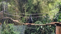 Dualisme Kepengurusan Kebun Binatang Bandung, Satwa pun Stres dan Mati