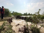 Tanggul Sungai Tuntang Jebol, Banjir Merendam Permukiman & Ratusan Hektare Sawah