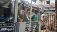 Sapi Mengamuk saat Mau Disembelih, 3 Anak Jadi Korban