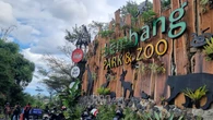 Macan Tutul Kabur dari Lembang Park & Zoo Terdeteksi Mengarah ke Tangkuban Parahu