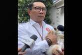 Ridwan Kamil Menggendong Kucing Warna Oranye, Katanya seperti Jakarta