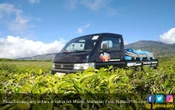 Suzuki Carry Listrik, Bos PT SIS: Kami Inginkan, Tetapi Tidak dalam Waktu Dekat