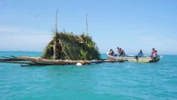 Coral Garden PT Timah: Kolaborasi Rawat Laut yang Hasilkan Ikan, Wisata, & Harapan Baru