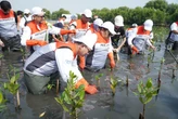 Tumbuhkan Cinta Lingkungan, Pertamina Ajak Siswa SD Tanam 20 Ribu Mangrove di Tangerang