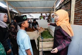 Hadiah Sepasang Sapi dari Khofifah Menyalakan Harapan Anak Desa Jatim Berani Bermimpi