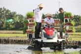 Pemprov Jateng Memulihkan 512 Hektare Lahan Pertanian di Demak