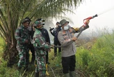 20 Hektare Lahan di Rohil Terbakar, Kapolres Ikut Padamkan Api  
