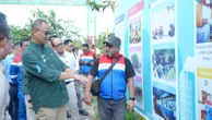 Jaga Lingkungan, Pertamina Tanam 800 Mangrove di Daerah Operasional Kilang Cilacap