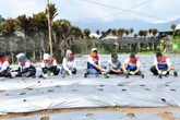 Lewat DEB, Pertamina Dorong Pemberdayaan Masyarakat & Pertumbuhan Ekonomi Lokal