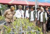 Menhut Pengin Bisnis Rakyat Berubah dari Menebang Jadi Menanam