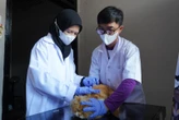 Puluhan Kucing di Palembang Dapat Vaksinasi Rabies