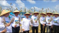 Menteri Yandri Dorong Blora Jadi Pusat Pengembangan Sorgum Nasional