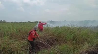 4 Helikopter Water Bombing Dikerahkan Padamkan Karhutla di Sumsel