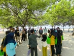 Hari Mangrove Sedunia, Pertamina dan BKSDA Jakarta Edukasi Masyarakat