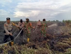 Polres Rohil Tangkap Dalang Karhutla di Kubu Banussalam, 10 Hektare Lahan Hangus