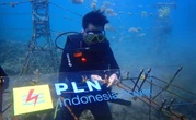 PLN Indonesia Power Bangun Ekosistem Laut Berkelanjutan di Jeranjang