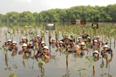 Merayakan Ultah ke-25, Janis & Associates Gelar Aksi Penanaman Mangrove di Jakarta Utara