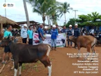 IdulAdha, PT Riota Jaya Lestari Menyalurkan 35 Ekor Sapi Kurban