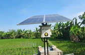 Dorong Kesejahteraan Ratusan Petani, Pertamina Kembangkan Energi Transisi