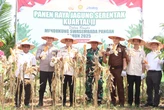 Dukung Swasembada Pangan, Polres Banyuasin Panen 4 Ton Jagung