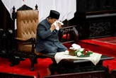 Prabowo Bakal Sikat Pemain Beras, Penggilingan Besar Akan Dibatasi